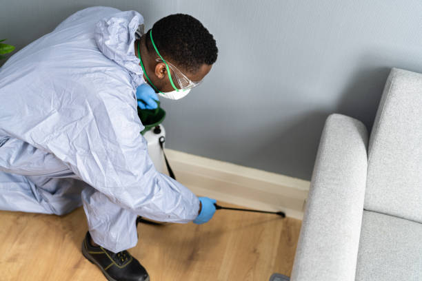 Best Real Estate Pest Inspections  in Lake Arrowhead, CA